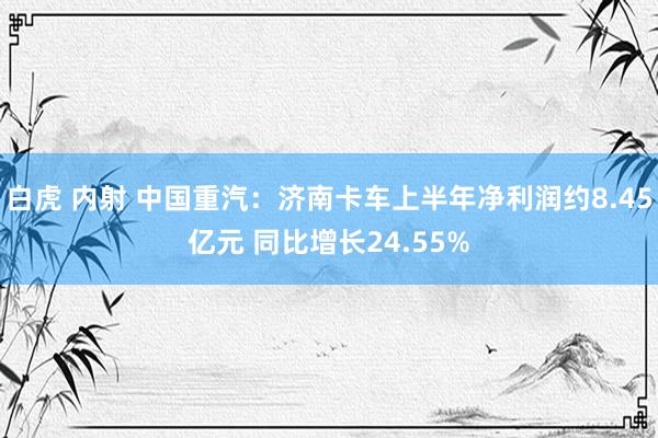 白虎 内射 中国重汽：济南卡车上半年净利润约8.45亿元 同比增长24.55%