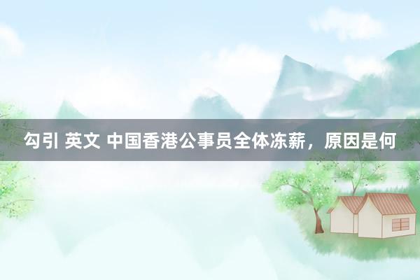 勾引 英文 中国香港公事员全体冻薪，原因是何