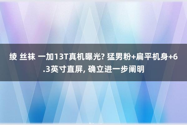 绫 丝袜 一加13T真机曝光? 猛男粉+扁平机身+6.3英寸直屏， 确立进一步阐明