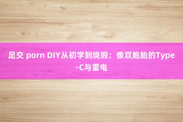 足交 porn DIY从初学到烧毁：像双胞胎的Type-C与雷电